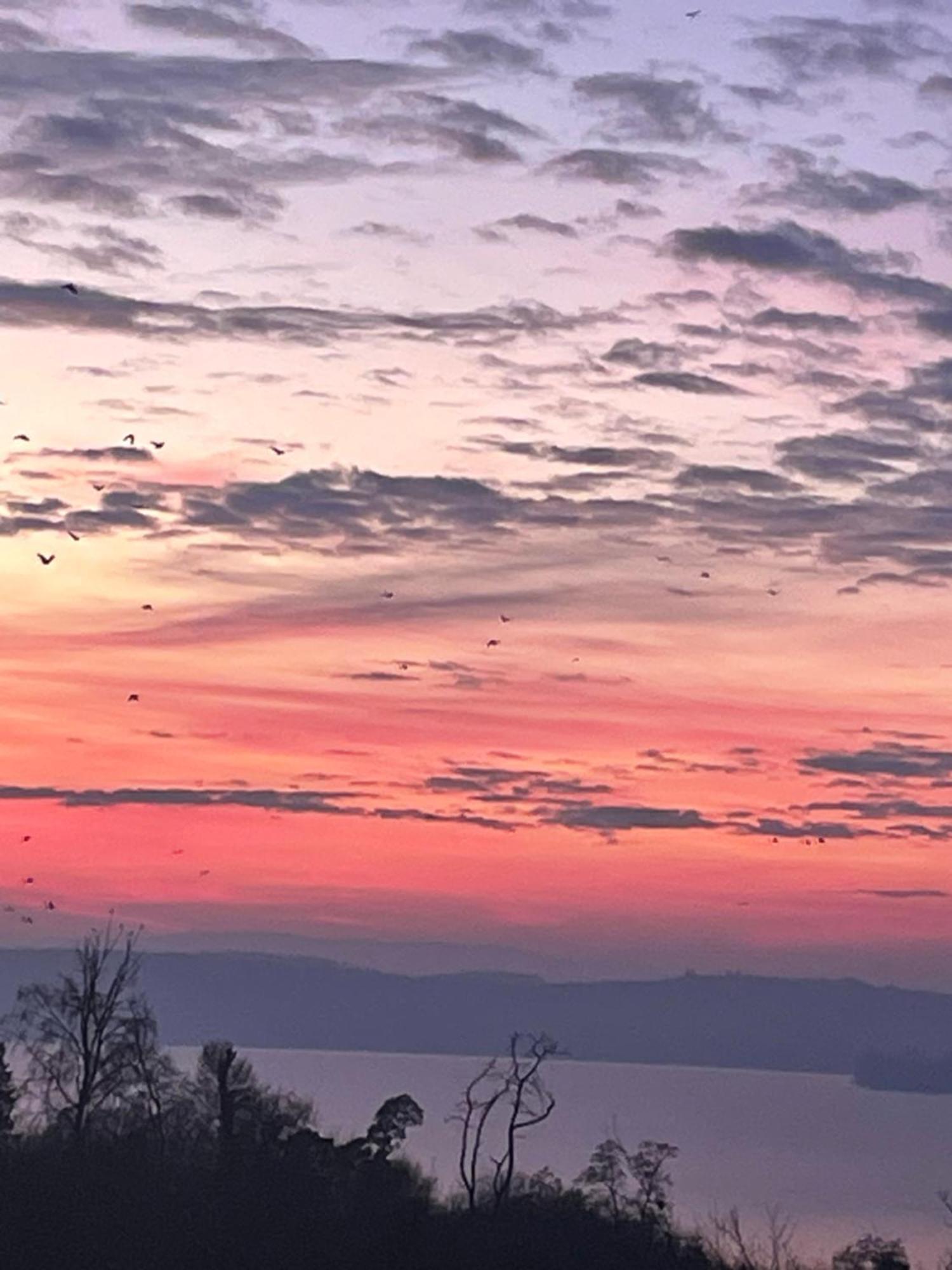 Ferienwohnung Urban - Ahorn -- Meersburg Bagian luar foto